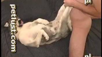 Guy bangs and creampies a dog