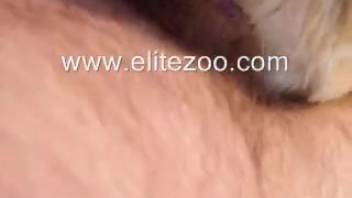 Cute and sexy wild butt pounded in doggy position
