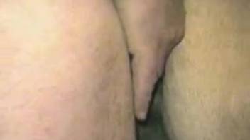 Naked bestiality sex involving vaginal penetration between a human male and a horse