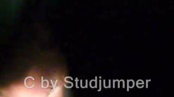 A guy thrusts his entire shaft into a dripping horse's vagina for intense connection