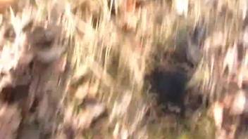 Aroused guy is drawn to the dog's penis and craves to experience it