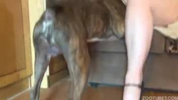 Anonymous older temptress eagerly consumes a massive canine shaft during a live broadcast