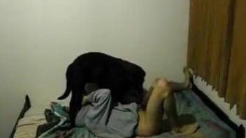 Young buddy tries passive anal sex with black pet in bed