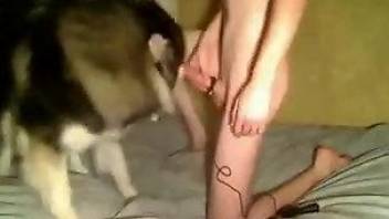 Amateur skinny guy wants smart Husky to touch his erect dick