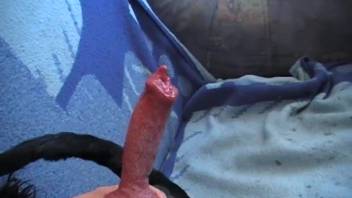 Man manually stimulates the dog's penis in wild scenes, eager to swallow semen