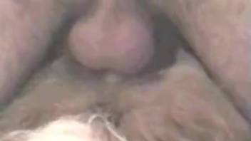 Canine rear penetrates nude guy after the man sodomizes the pooch in the butt