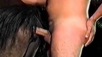 Amateur man nicely assfucks brown horse in barn from behind