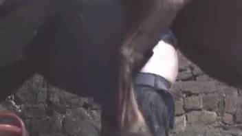 Rancher is intensely pounded by buff stud in doggy position