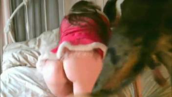 Christmas erotic angel satisfies her submissive in doggy position