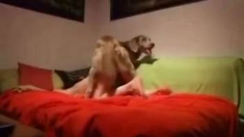 Hardcore homemade adult video featuring a dog and a promiscuous housewife