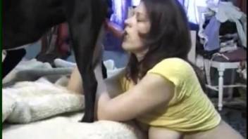 Dark-haired doggy is getting an outstanding blowjob