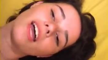 Animal Dog Porn - Zoophilia beast sex tube