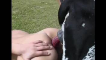 Desperate woman pushes big canine cock into her narrow anus