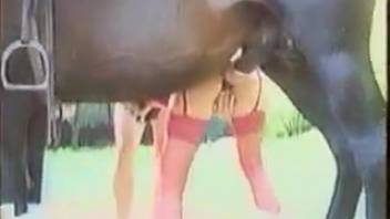 Steamy animal lover in crimson nylons being penetrated deeply