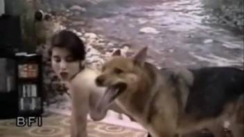 Slim and gorgeous woman adores the full dog's penis thrusting into her perfectly