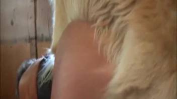 DIY beginner canine erotica with filthy woman bestiality