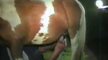 Bare dude takes massive horse cock deep in his rear