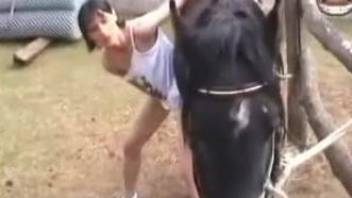 Hot brunette throats a big horse dick while filmed