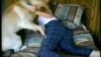 Frustrated woman mounts canine's cock while home alone