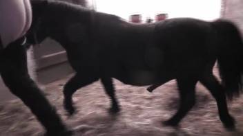 Nude older woman experiences vigorous horse cock penetrating her moist pussy