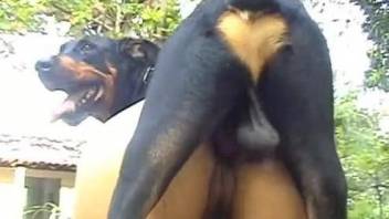 Latina woman butt fucked by her dog in amateur XXX scenes