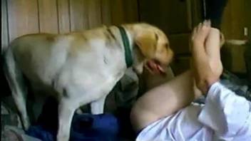 Dog pleases female with deep insertion up her pink pussy