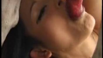 Dark-haired woman blows the canine's dick before allowing it into her bushy pussy