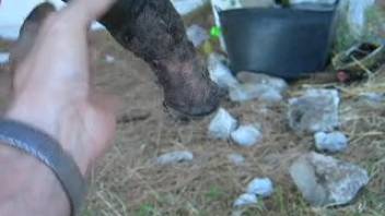 Rancher grips and strokes an enormous horse cock in first-person perspective