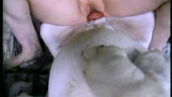 Chubby woman bouncing on the hardest cock ever
