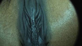 Dirty rancher with massive stiff erection pounds his adorable pony doggystyle