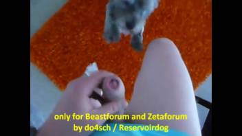 Canine satisfies nude male with messy penis sucking fellatio