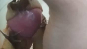 Perverse zoophile cums with snails on his cock