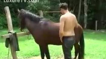 Sexy dude with a limp dick getting fucked by a horse