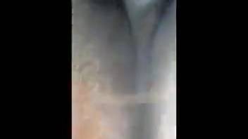 Gorgeous female horse's vagina being indulged on video