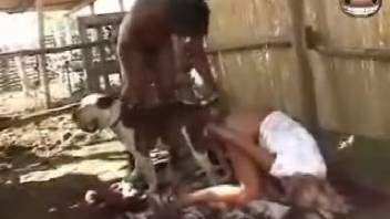 Fantastic mixed-race encounters and animal sex