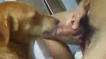 Assertive dude dominates his dog's pussy and throat