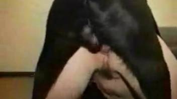 Ebony canine elegantly screws a promiscuous slender whore