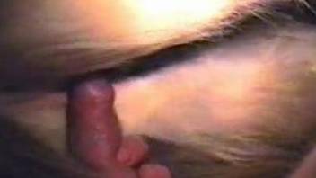 Tight pussy mare getting fucked brutally on camera