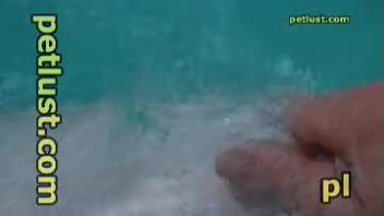 Aroused guy opts to stroke a dolphin's bent dick