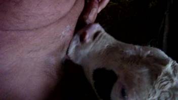 Young heifer slobbers on guy's cock in a super messy way
