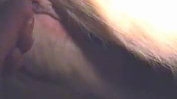 Guy explores her pussy with his fingers before sliding in his dick