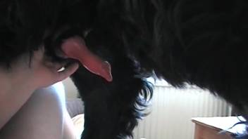 Aroused lady eagerly desires to touch and fondle the canine's stiff penis