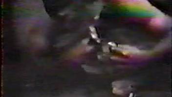 Classic bestiality footage depicts nude female deepthroating beast penis