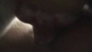 Brazen dark-haired vixen stroking a canine's pulsating member