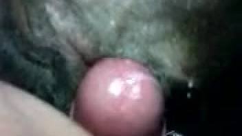 Plump guy banging a female horse's horny tight snatch