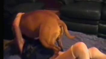 Wicked beast screwing this babe's yummy cunt