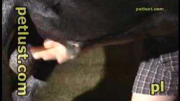 Aroused guy with bestiality fetish screwing a hot dark beast