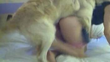 Slutty young girl dominated by a well-endowed dog