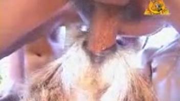 Animal enthusiast roughly handling a beast's vagina up close to the camera