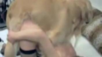 Sexy mature woman relishes the entire canine penis in her snug vagina